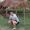 Avatar de Modesto_WS